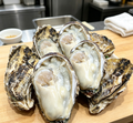 Fresh Raw Oysters